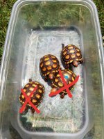 20180628_004934.jpg