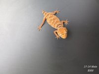 IMG_2770_1.jpg