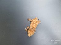 IMG_3173_1.jpg