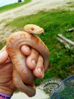 Resized_20180720_130741.jpg