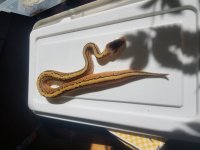 20180707_100447.jpg
