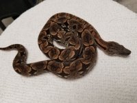 20180710_195839.jpg