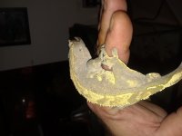 20180905_203148.jpg