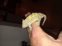 20180905_203138.jpg