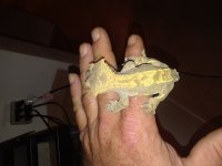20180905_203131.jpg