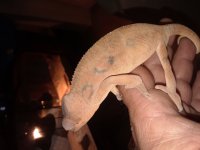 20180724_142220.jpg