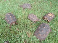 20180818_094912.jpg