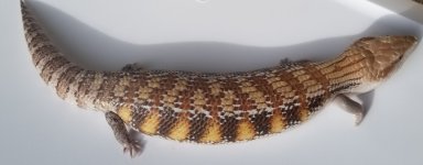 20181118_131119.jpg