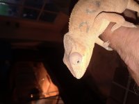20180724_142215.jpg