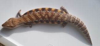 20181118_131059.jpg