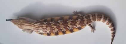 20181118_131310.jpg