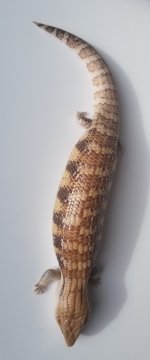 20181118_131156.jpg