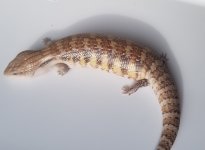 20181118_131204.jpg