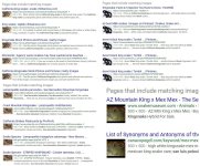 kingscammer.jpg