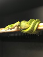 IMG_6594.jpg