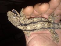 20180821_084444.jpg