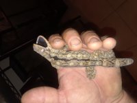 20180821_084435.jpg