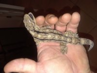 20180821_084429.jpg