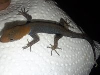 20180823_133018.jpg