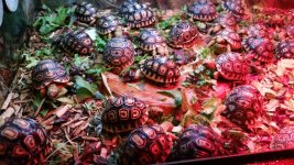 20181120_055436.jpg