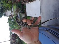 20180817_175348.jpg