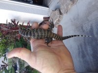 20180817_175343.jpg