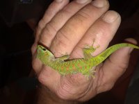 20180810_130810.jpg