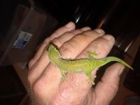 20180810_130806.jpg