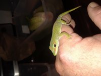 20180810_130801.jpg
