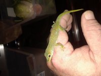 20180810_130757.jpg