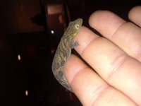 20180708_150845.jpg