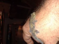 20180708_150757.jpg