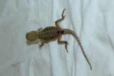 IMG_4053.jpg