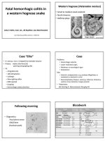 casestudy02.jpg