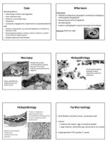 casestudy03.jpg