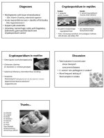 casestudy04.jpg