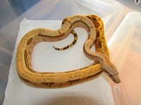 IMG_0444.jpg