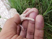 20180711_160834.jpg