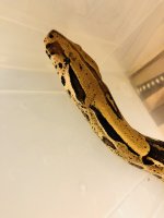 711D9306-A22C-4CCC-8299-D05E94B09DA8.jpg