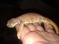 20180823_104417.jpg