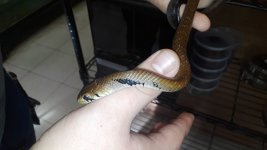 20181119_140034.jpg