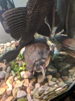 IMG_20180918_103046.jpg