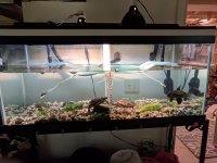IMG_20180918_102243.jpg