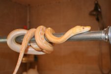 IMG_8404.jpg