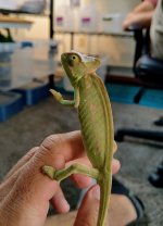 IMAG0509.jpg