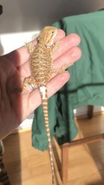 IMG_9914.jpg
