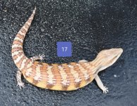 20180814_122147.jpg