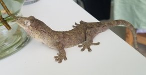 20180826_140514.jpg