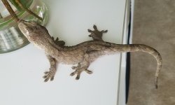 20180826_140403.jpg