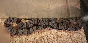 RRGB IMG_6173.jpg